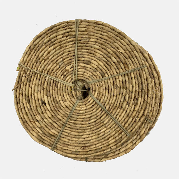 Cinta de Jacinto de agua Espiga Ancho: 10 mm. Bobina 10 metros. 5.37 € + I.V.A. - Natkits
