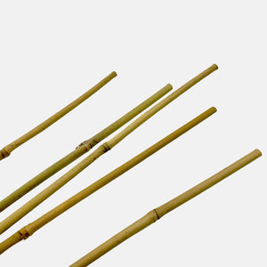 Tutores de bambú natural diámetro 10/14 mm  Alto: 120 cm. Pack de 5 unidades