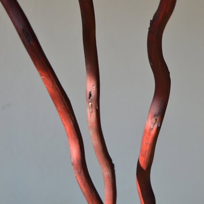 Make 3 Dry Branches "Kuwa" mahogany brown 90-110 CM.