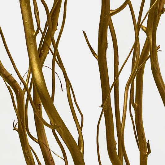 Make 6 dried golden Willow (Salix) branches 100-120 CM.